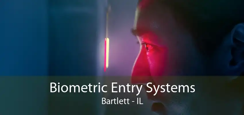 Biometric Entry Systems Bartlett - IL