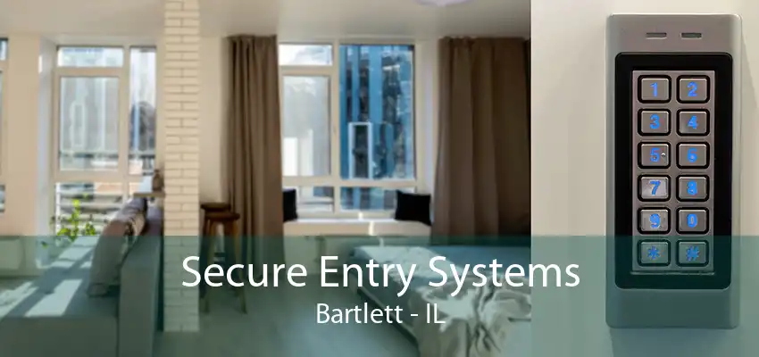 Secure Entry Systems Bartlett - IL